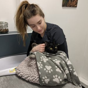 Emily calming a cat during it's consultation